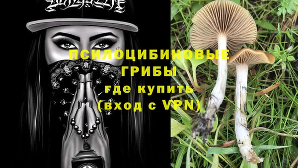бошки Козельск