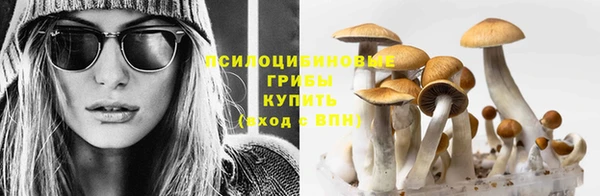 Альфа ПВП Кодинск