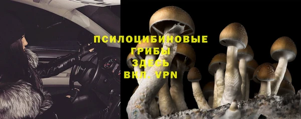 эйфоретик Козловка