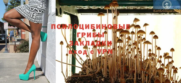 Альфа ПВП Кодинск