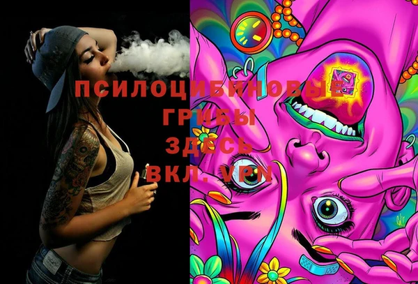 Альфа ПВП Кодинск