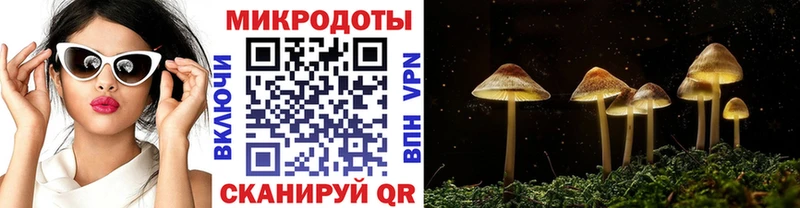 Галлюциногенные грибы Psilocybine cubensis  Купить  Беслан 